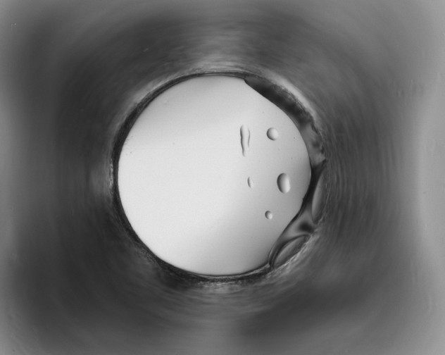 X0000096391461200802211131