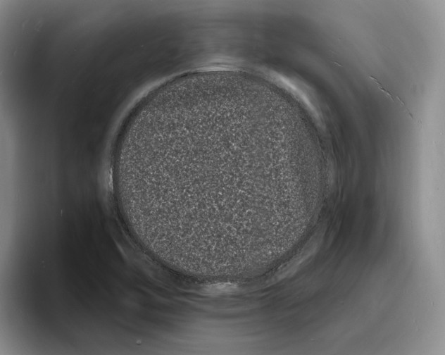 X0000096391462200802211131