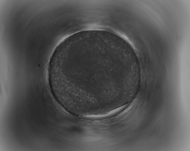 X0000096391463200802211131