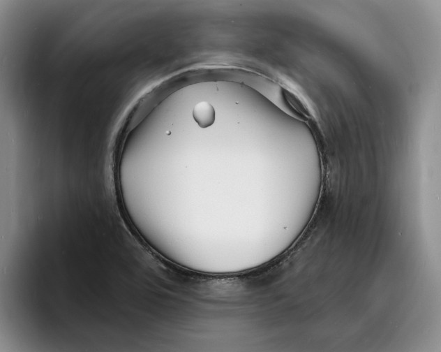 X0000096391464200802211131