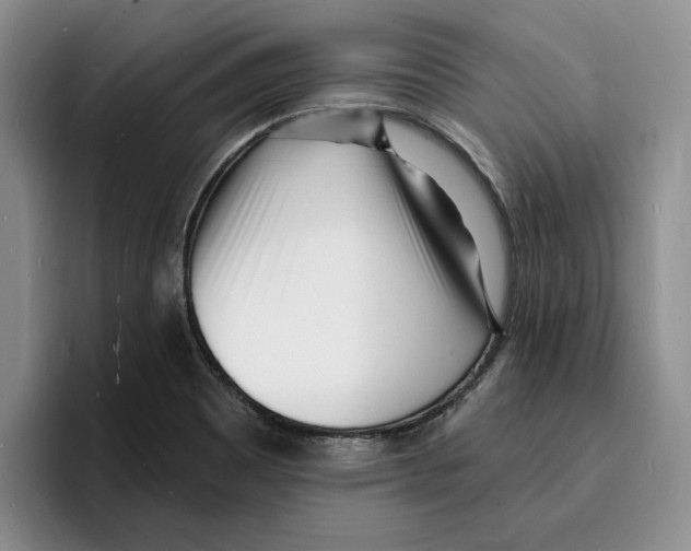 X0000096391465200802211131