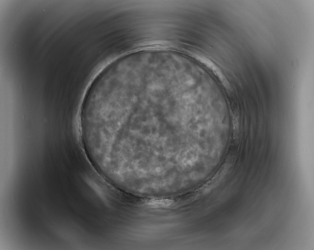 X0000096391466200802211131
