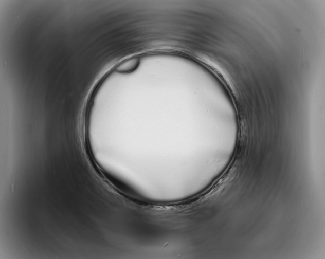 X0000096391467200802211131