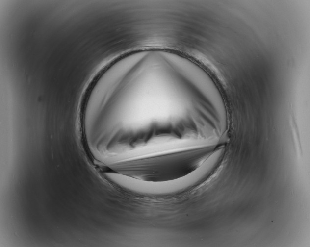X0000096391469200802211131