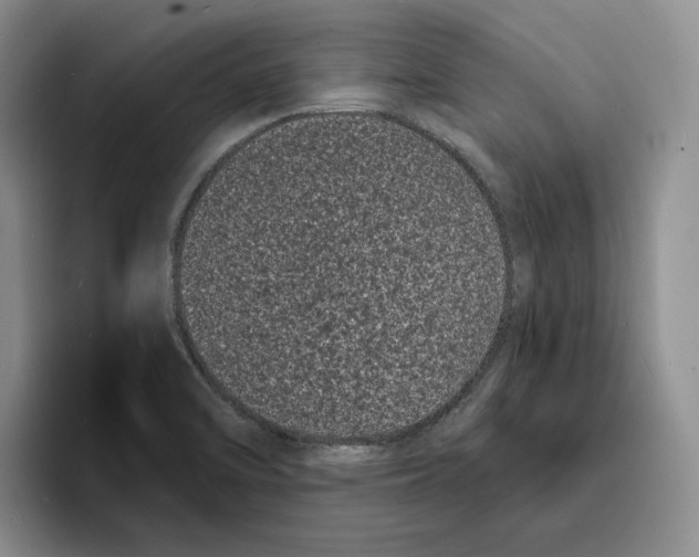 X0000096391470200802211131