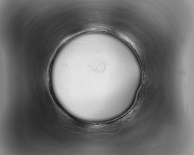 X0000096391471200802211131