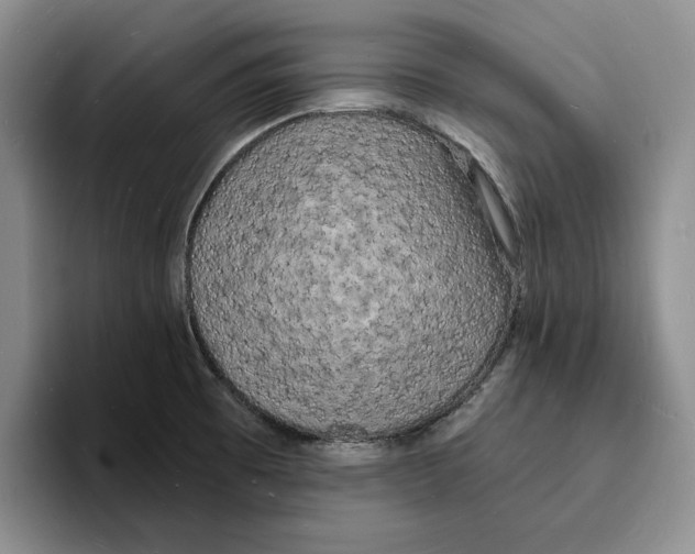 X0000096391473200802211131