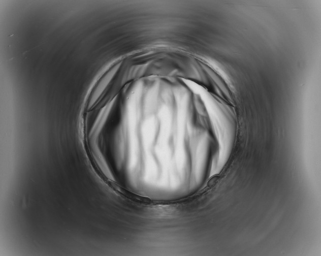 X0000096391476200802211131