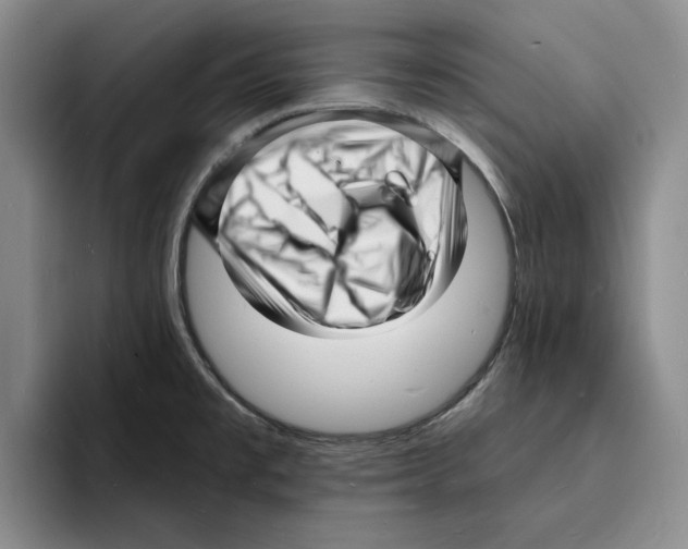 X0000096391477200802211131