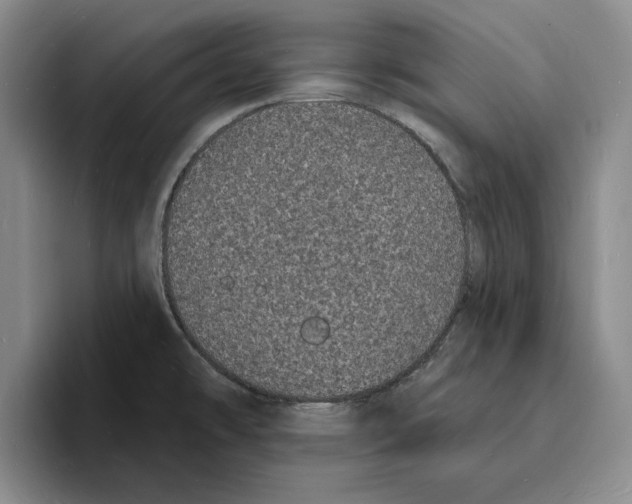 X0000096391478200802211131