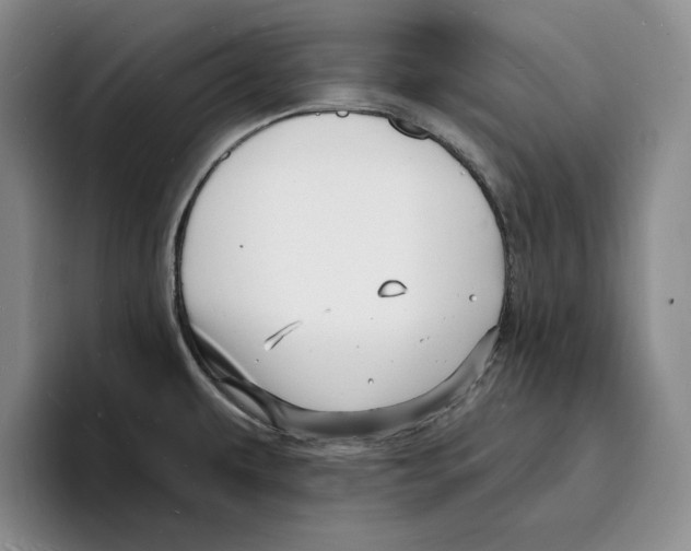X0000096391479200802211131