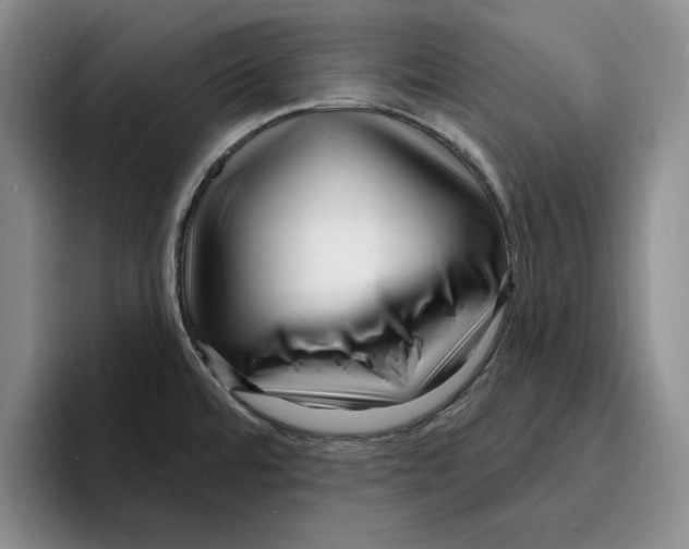 X0000096391480200802211131