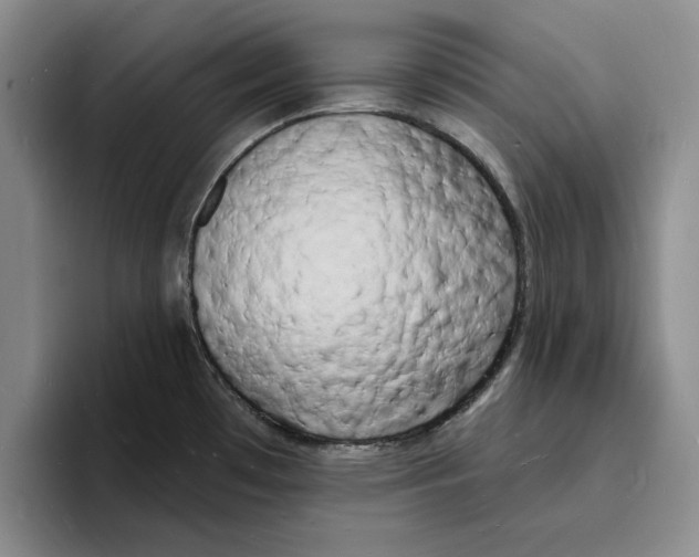 X0000096391481200802211131