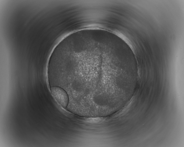 X0000096391482200802211131