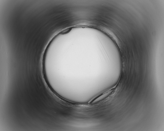 X0000096391483200802211131