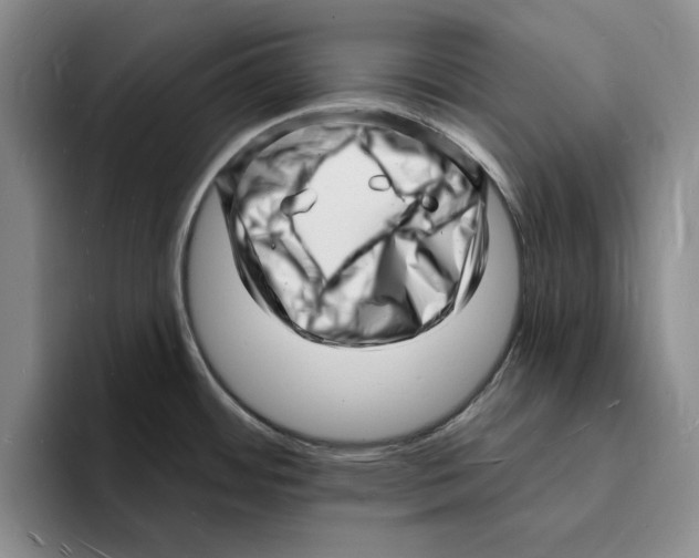 X0000096391484200802211131