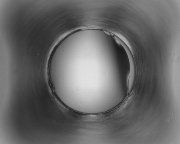 X0000096391485200802211131