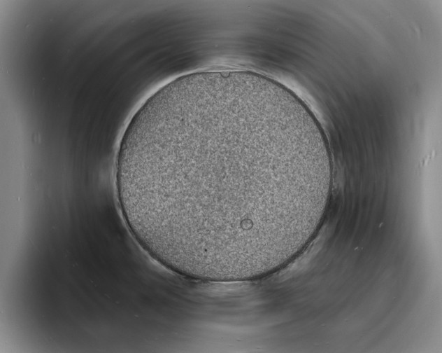 X0000096391486200802211131