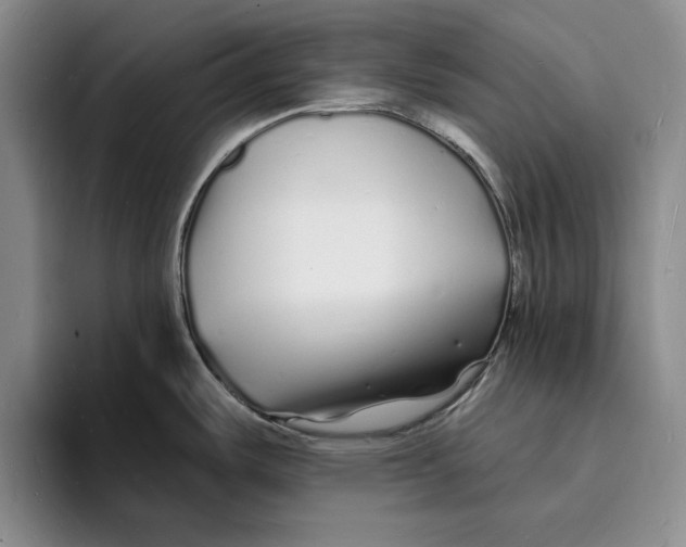 X0000096391487200802211131