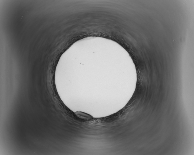 X0000096391489200802211130