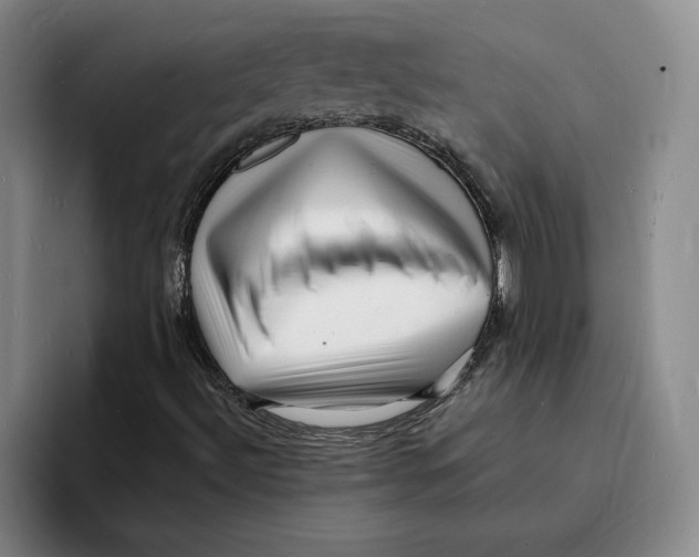 X0000096391492200802211130