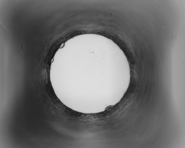 X0000096391493200802211130