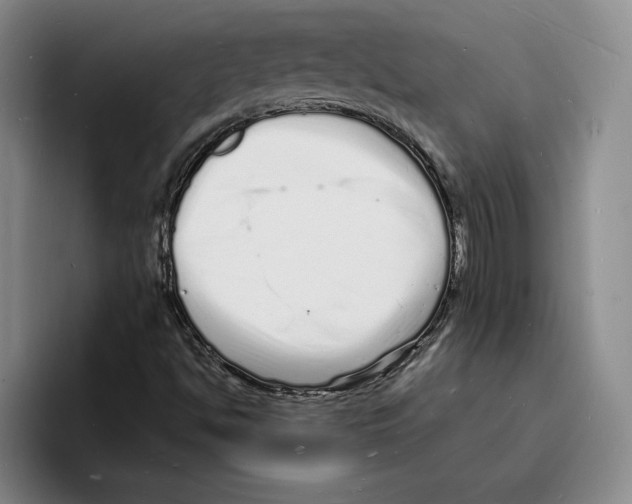 X0000096391494200802211130
