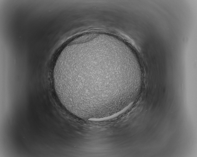 X0000096391496200802211131