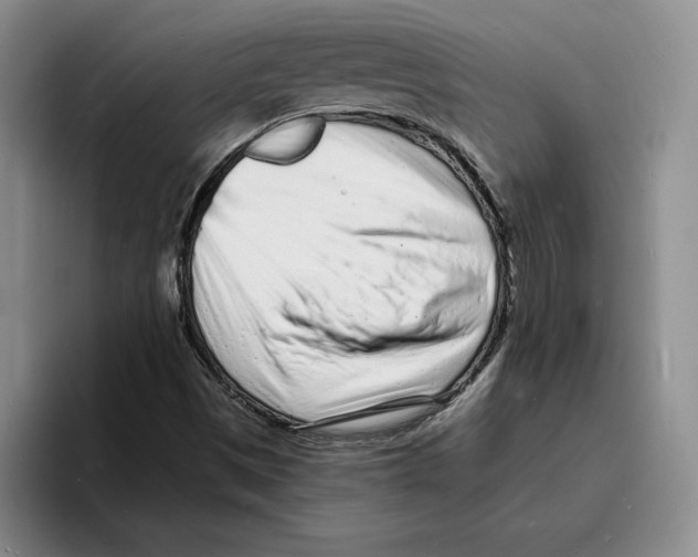 X0000096391497200802211131