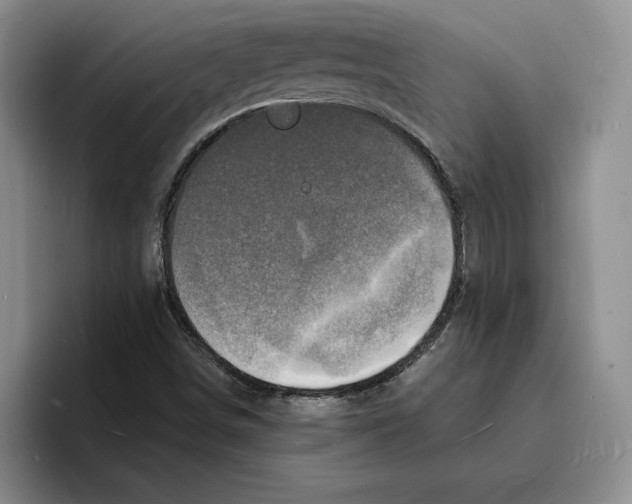 X0000096391498200802211131