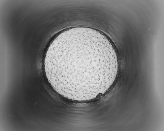 X0000096391499200802211131