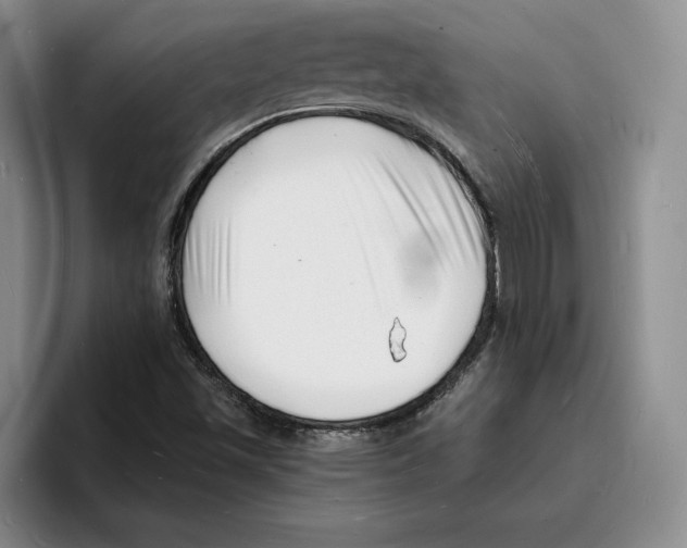 X0000096391501200802211131