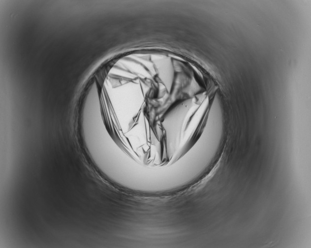 X0000096391502200802211131