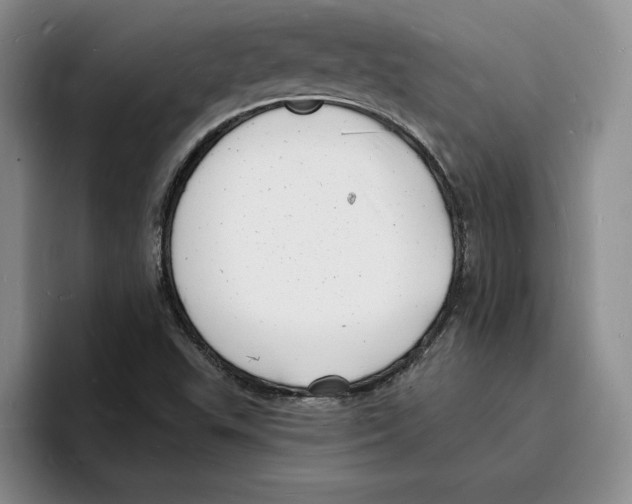 X0000096391503200802211131