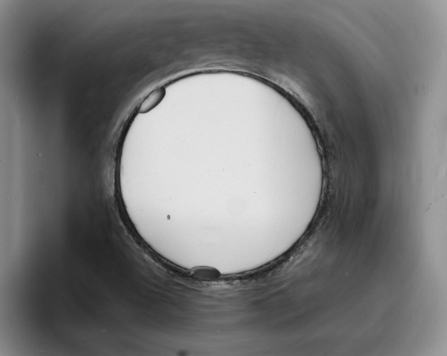 X0000096391504200802211131