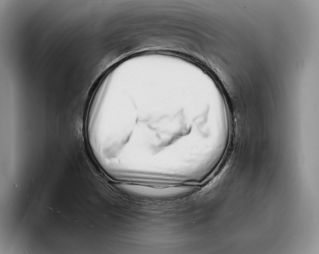 X0000096391505200802211131
