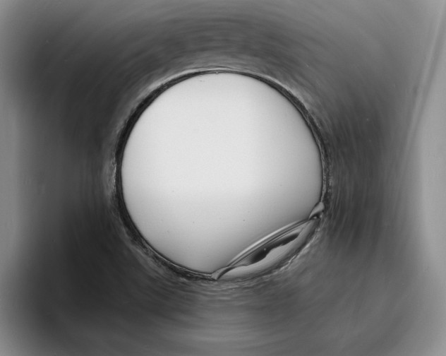 X0000096391507200802211131