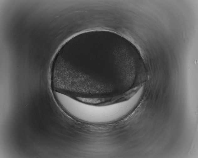 X0000096391508200802211131