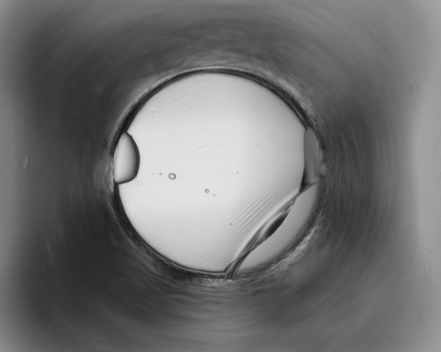 X0000096391509200802211131