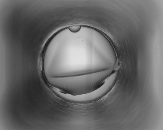 X0000096391510200802211131
