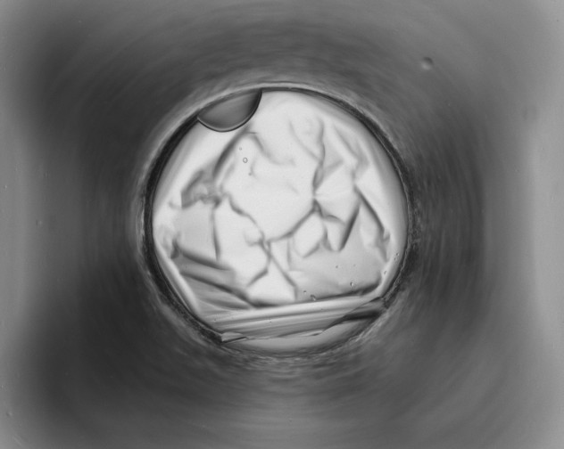 X0000096391511200802211131
