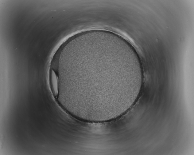 X0000096391512200802211131