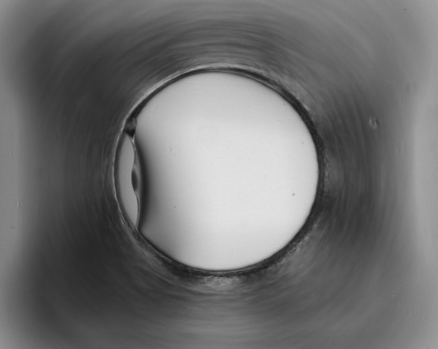 X0000096391513200802211131
