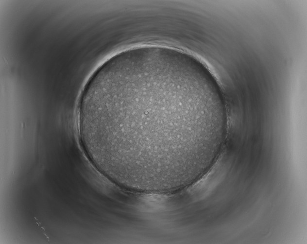 X0000096391514200802211131