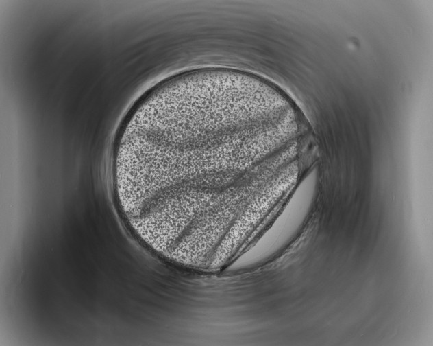 X0000096391515200802211131