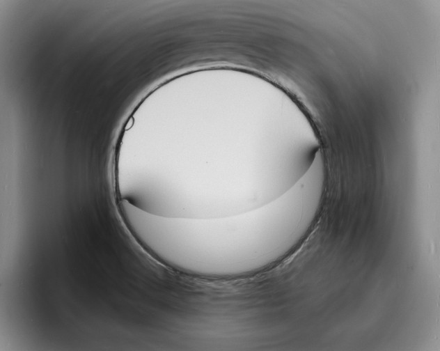 X0000096391516200802211131
