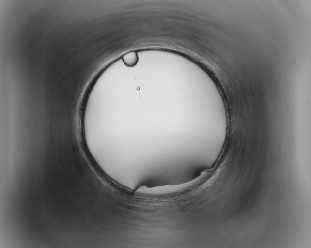 X0000096391517200802211131
