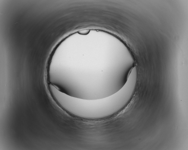 X0000096391518200802211131