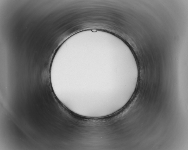X0000096391521200802211131