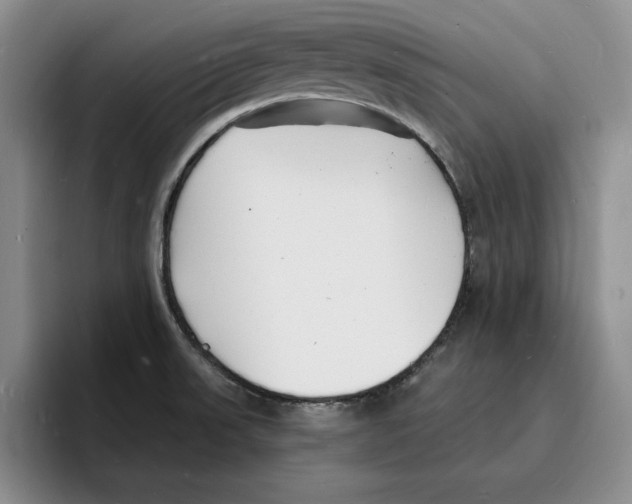 X0000096391523200802211131